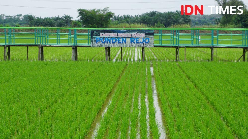 Wisata Sawah Punden Rejo Hadirkan Program Edukasi Bagi Anak