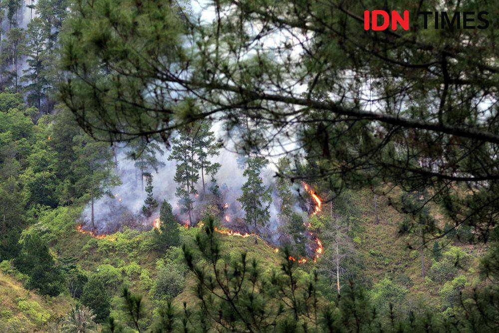 Kebakaran hutan di Bukit sekitar Parapat, Simalungun beberapa waktu lalu yang diduga ulah manusia (IDN Times/Arifin Al Alamudi)