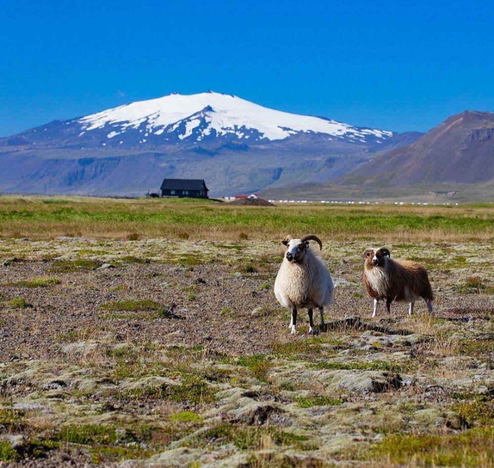 Taman Nasional Snaefellsjokull (Instagram.com/djonson)