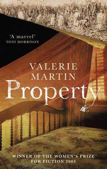 Buku Property oleh Valerie Martin (dok. kobo.com