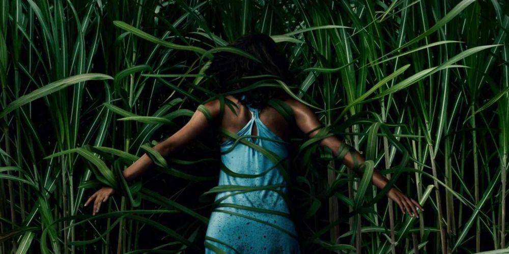 Cuplikan film In The Tall Grass (Dok. Netflix/In The Tall Grass)