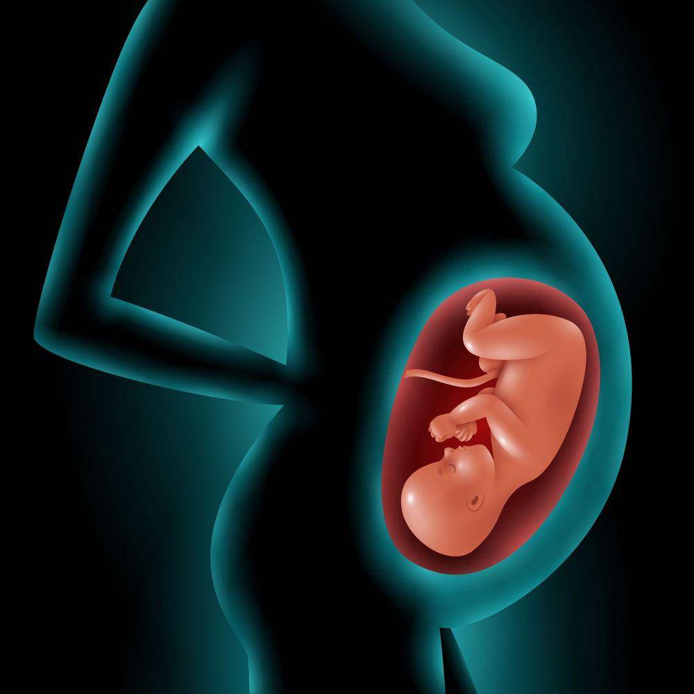 ilustrasi ibu hamil (freepik.com/macrovector)