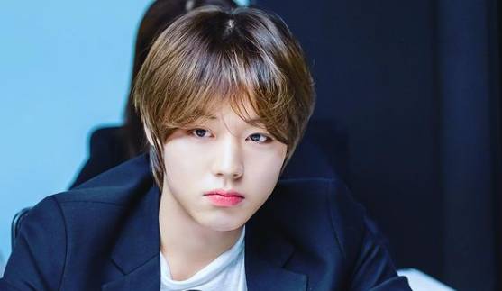 Park Ji Hoon (instagram.com/0529.jihoon.ig)