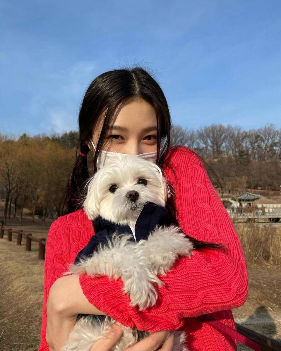 Potret Joy Red Velvet bareng anjing kesayangan, yang jarang disorot (instagram.com/_imyour_joy)