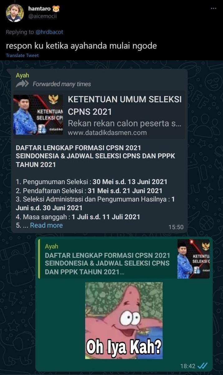 keluh kesah CPNS (twitter.com/aicemocii)