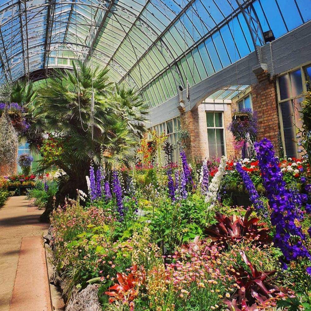 Auckland Domain (Instagram.com/chynally)