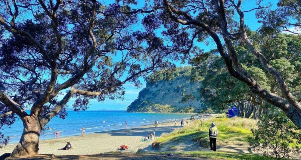 7 Taman Cantik di Auckland, Pemandangannya Sukses Bikin Takjub!