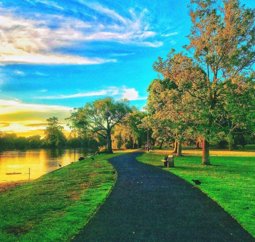Taman Western Springs (Instagram.com/visitauckland)