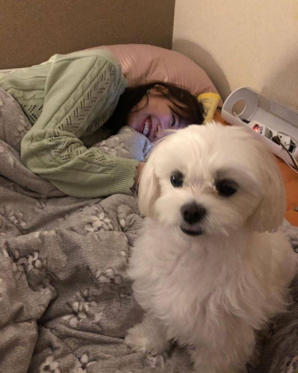 Potret Joy Red Velvet bareng anjing kesayangan, yang jarang disorot (instagram.com/_imyour_joy)