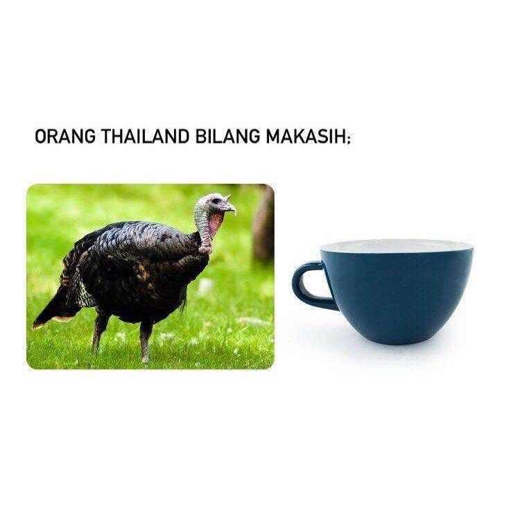meme bahasa Thailand (instagram.com/memekomik_indonesia)