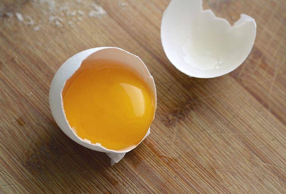 ilustrasi kuning telur (pixabay.com/ponce_photography)