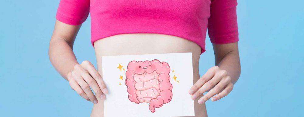 ilustrasi sistem pencernaan yang sehat (hopkinsmedicine.org)