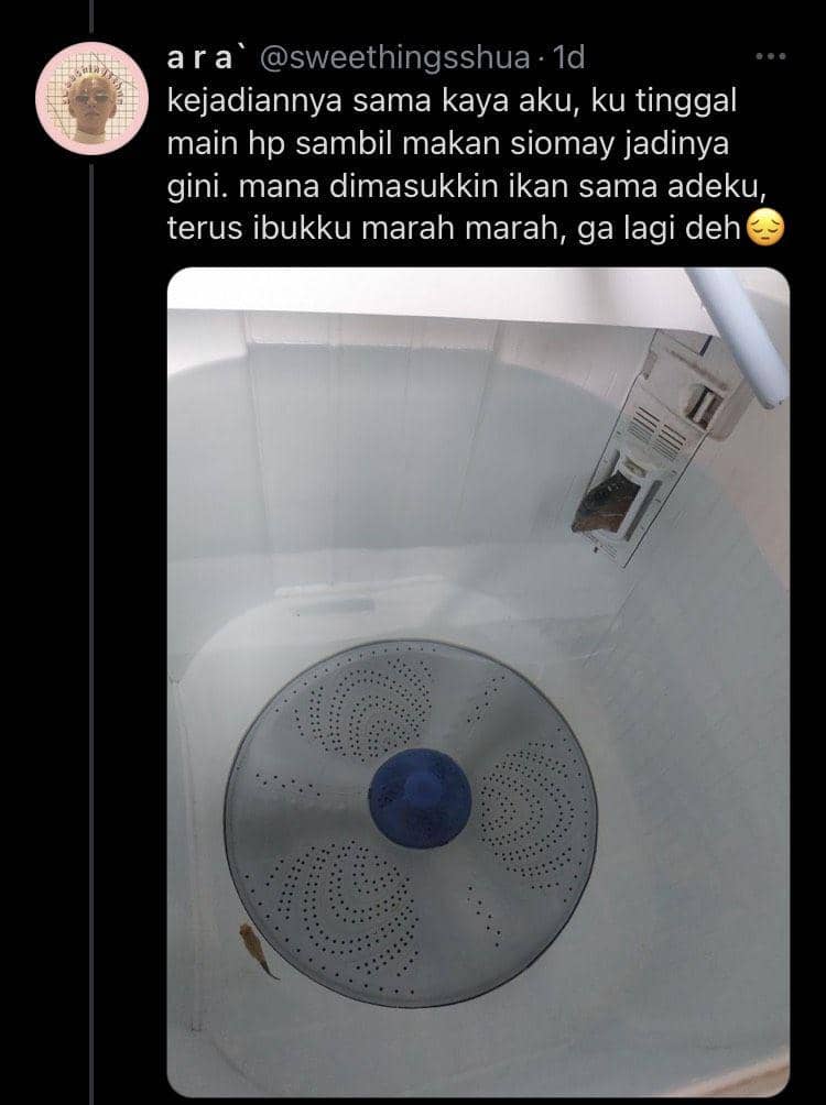 ikan masuk ke mesin cuci (twitter.com/sweethingsshua)