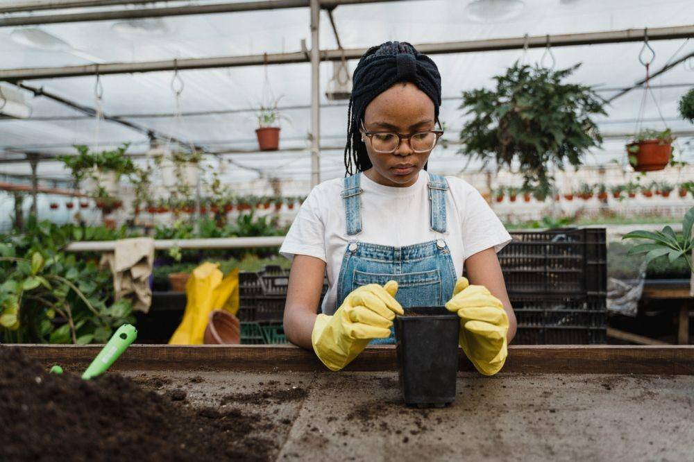 ilustrasi berkebun (pexels.com/Tima Miroshnichenko)