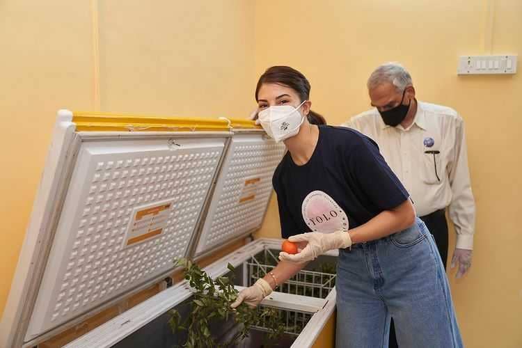 Jacqueline Fernandez (instagram.com/jacquelinef143)