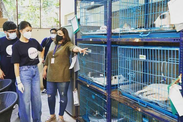 Jacqueline Fernandez (instagram.com/jacquelinef143)