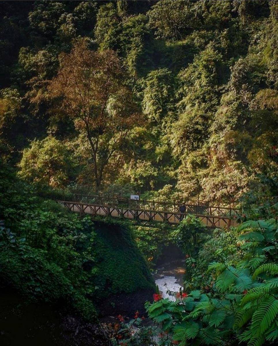 Taman Hutan Raya (Tahura) Ir. H. Djuanda (instagram.com/explorebandung)