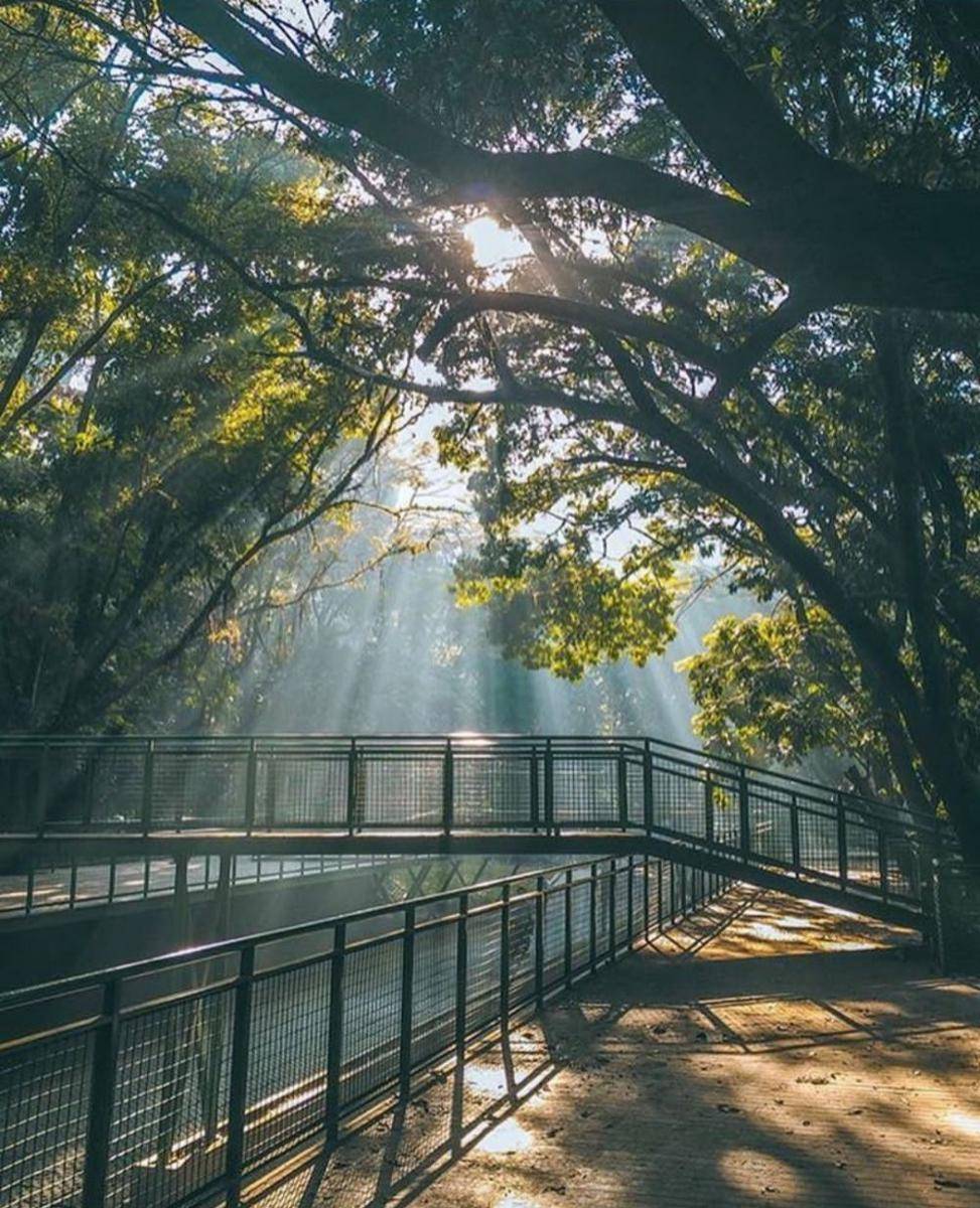 Ilustrasi hutan kota (instagram.com/explorebandung)