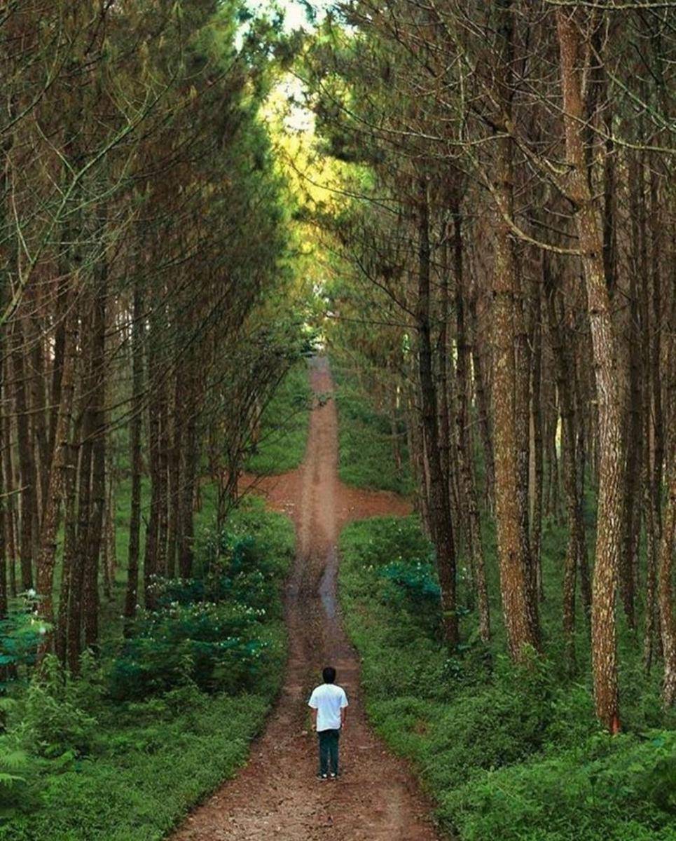Puncak eurad pingping (instagram.com/explorebandung)