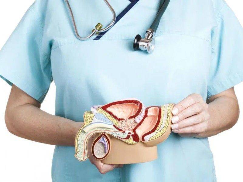 ilustrasi diagnosis varikokel (vittoriavita.com)
