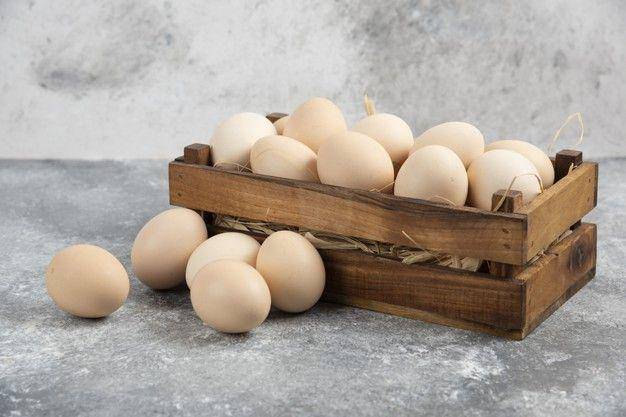 ilustrasi telur ayam kampung (freepik.com/azerbaijan_stockers)