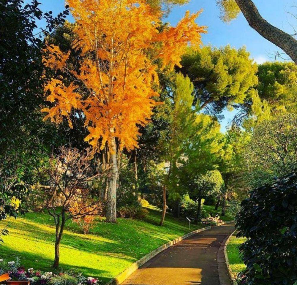 Les Jardins Saint-Martin (Instagram.com/hello_monaco)