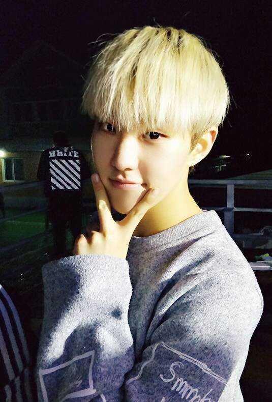Hoshi SEVENTEEN (twitter.com/pledis_17)