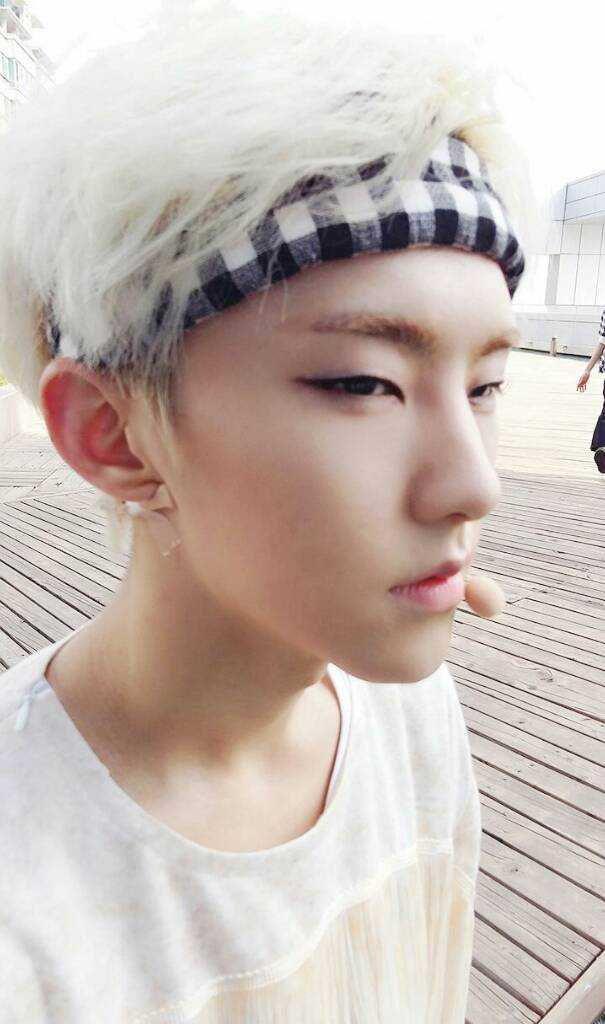 Hoshi SEVENTEEN (twitter.com/pledis_17)