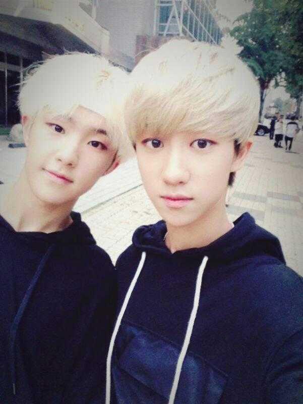 Hoshi SEVENTEEN (twitter.com/pledis_17)