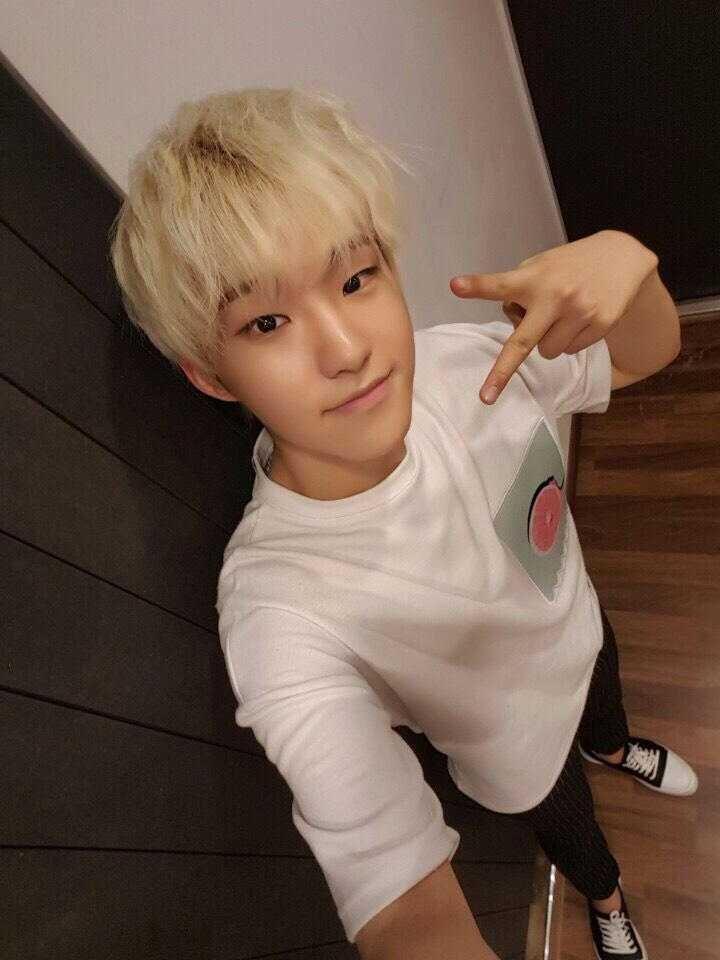 Hoshi SEVENTEEN (twitter.com/pledis_17)