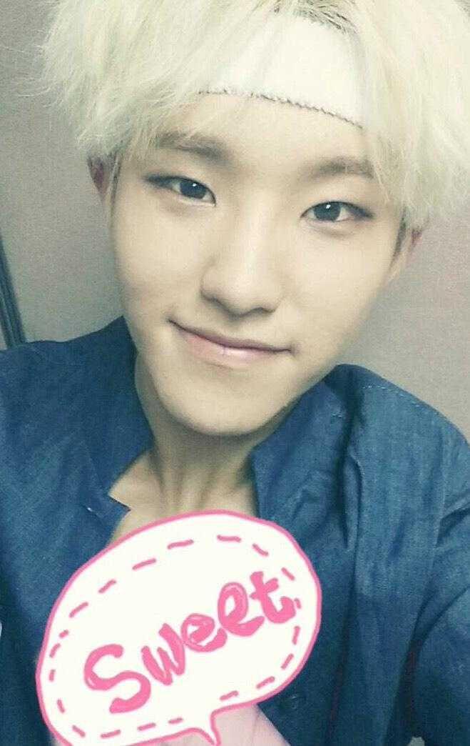Hoshi SEVENTEEN (twitter.com/pledis_17)