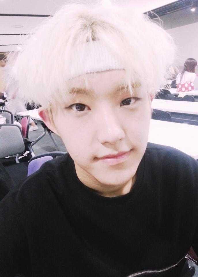 Hoshi SEVENTEEN (twitter.com/pledis_17)