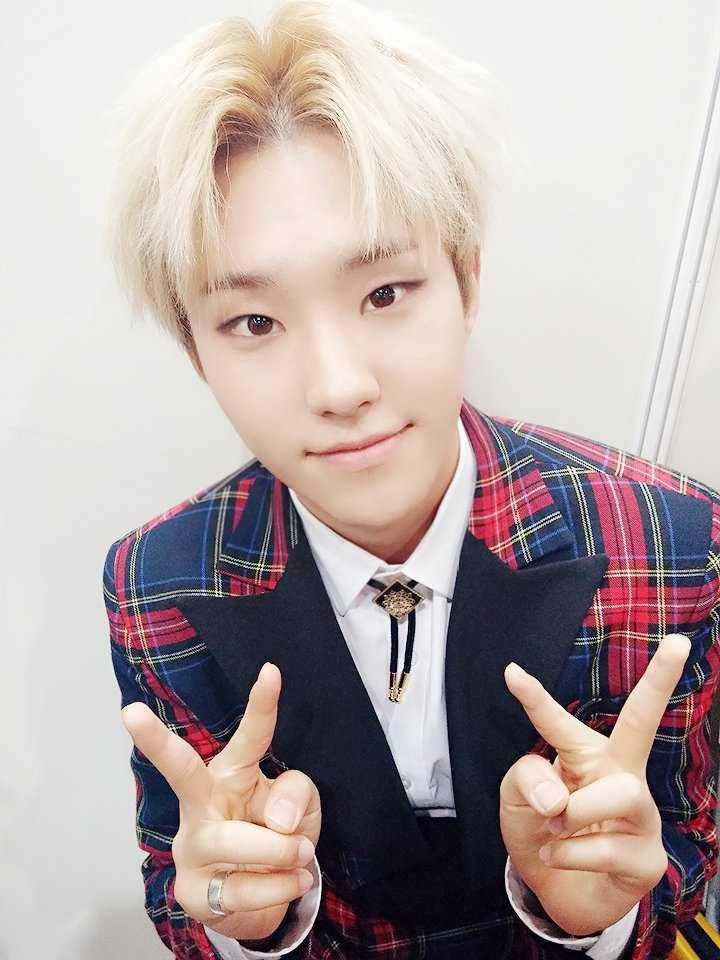Hoshi SEVENTEEN (twitter.com/pledis_17)
