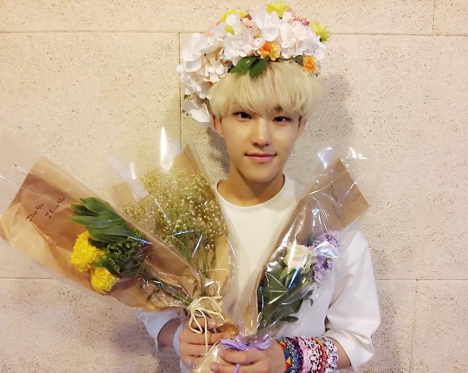Hoshi SEVENTEEN (twitter.com/pledis_17)