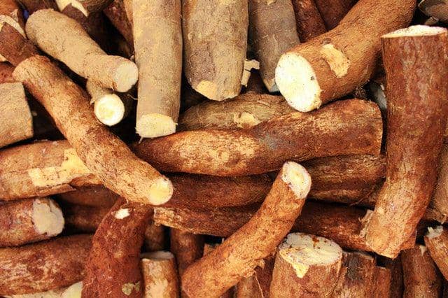 Singkong atau ubi kayu (pexels.com/Daniel Dan)