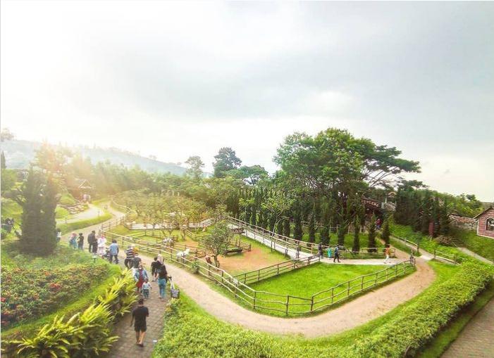 16 Wisata Keluarga di Bogor 2025 yang Banyak Aktivitas Seru
