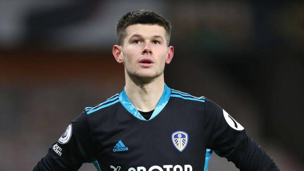 Illan Meslier (skysports.com)