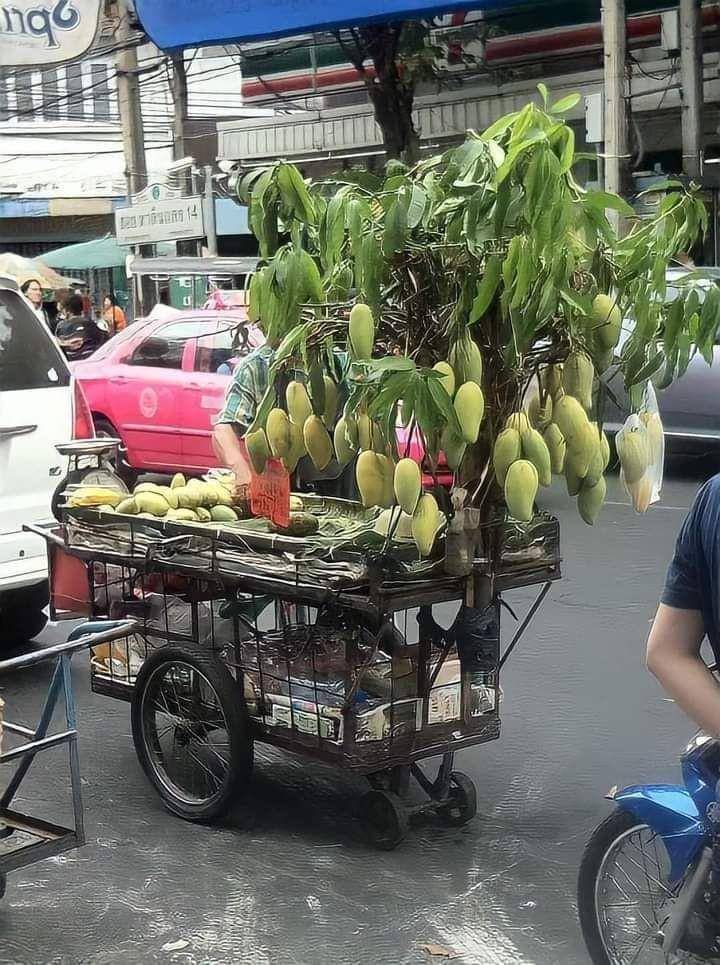 kelakuan tukang buah (twitter.com/flutulangs)