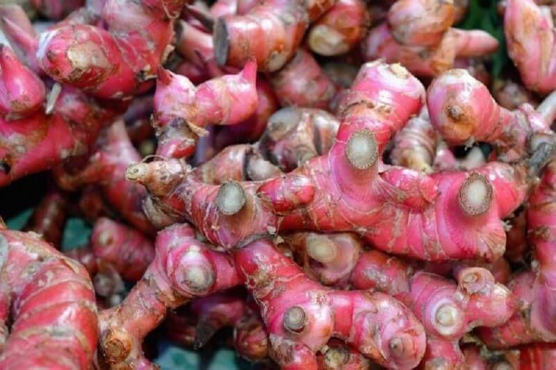 Jamu untuk Daya Tahan Tubuh (deltomed.id)