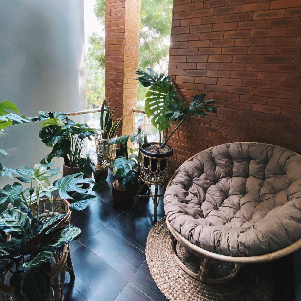Tanaman Herfiza Novianti (instagram.com/herfiza)