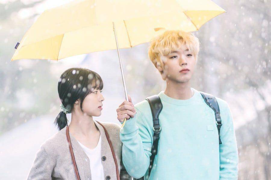 At a Distance Spring is Green (Dok. KBS2)