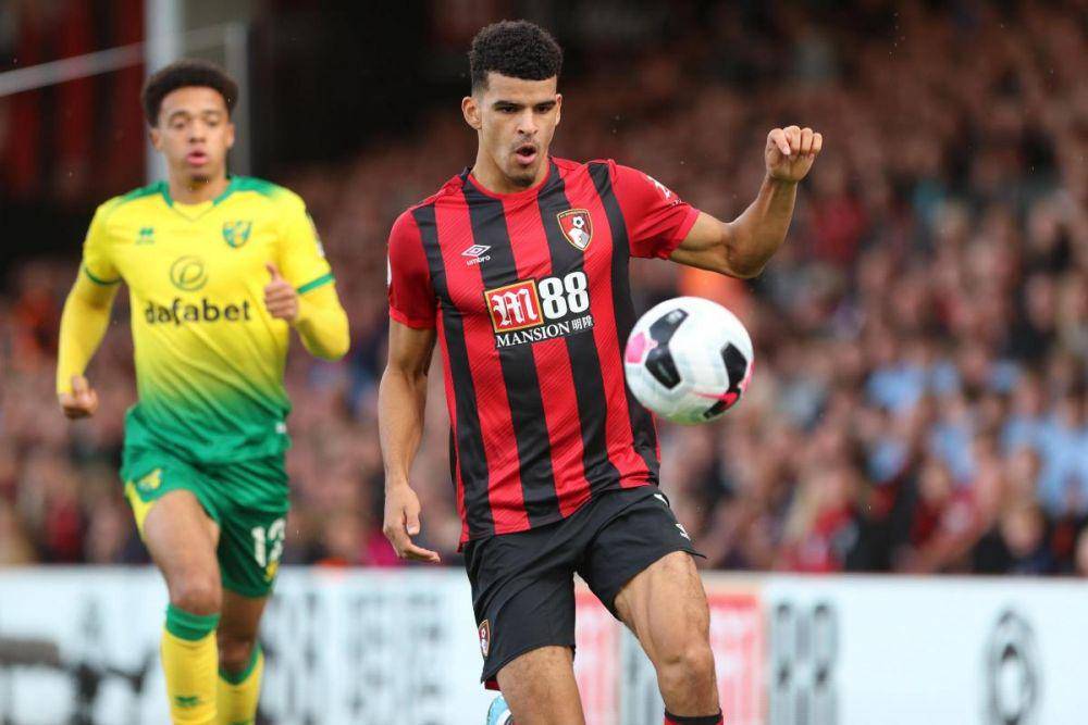 Dominic Solanke menjadi tumpuan lini depan Bournemouth musim ini. (bournemouthecho.co.uk)
