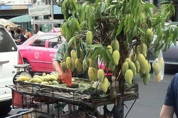 kelakuan tukang buah (twitter.com/flutulangs)