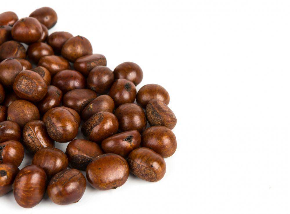 ilustrasi kacang kastanya atau chestnut (freepik.com/jannoon028)