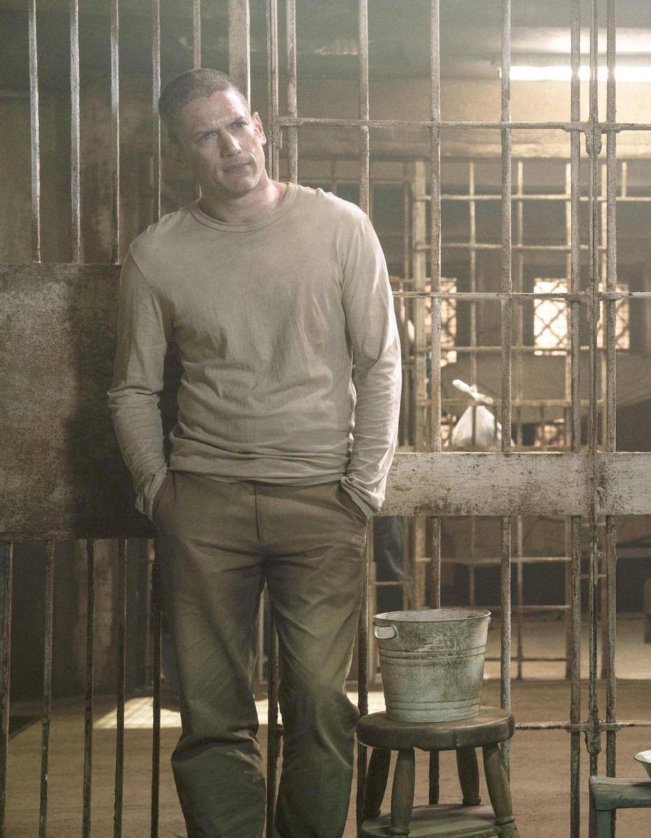 Wentworth Miller. (www.imdb.com)