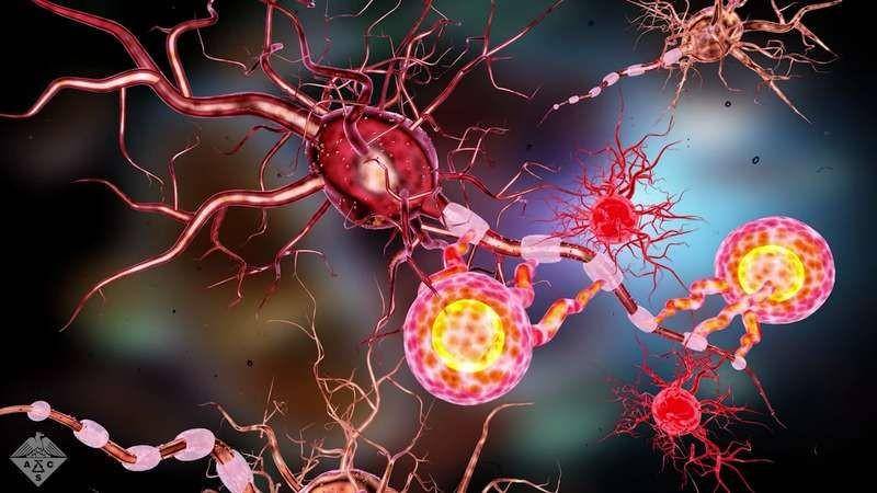 ilustrasi gangguan autoimun (brittanica.com/American Chemical Society)