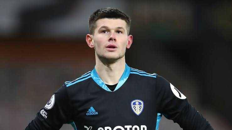 Illan Meslier (skysports.com)