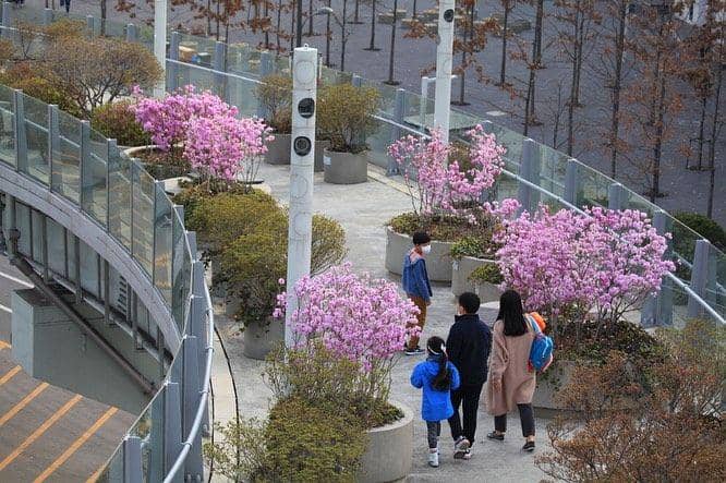 Seoullo 7017 Skygarden (instagram.com/seoullo7017walk_)