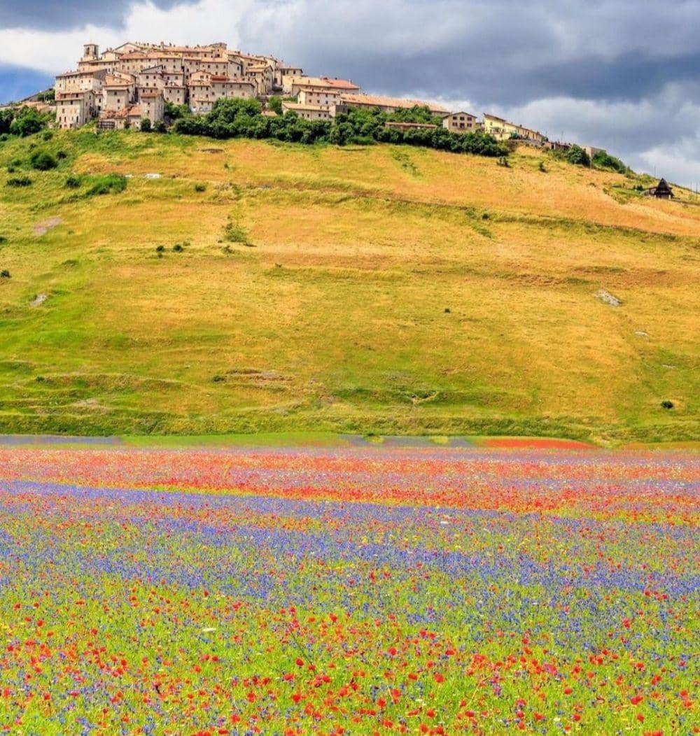 pesona Castelluccio di Norcia (Instagram.com/culturetrip)