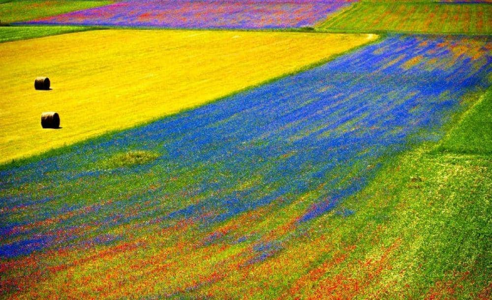 pesona Castelluccio di Norcia (Instagram.com/bellarome1)
